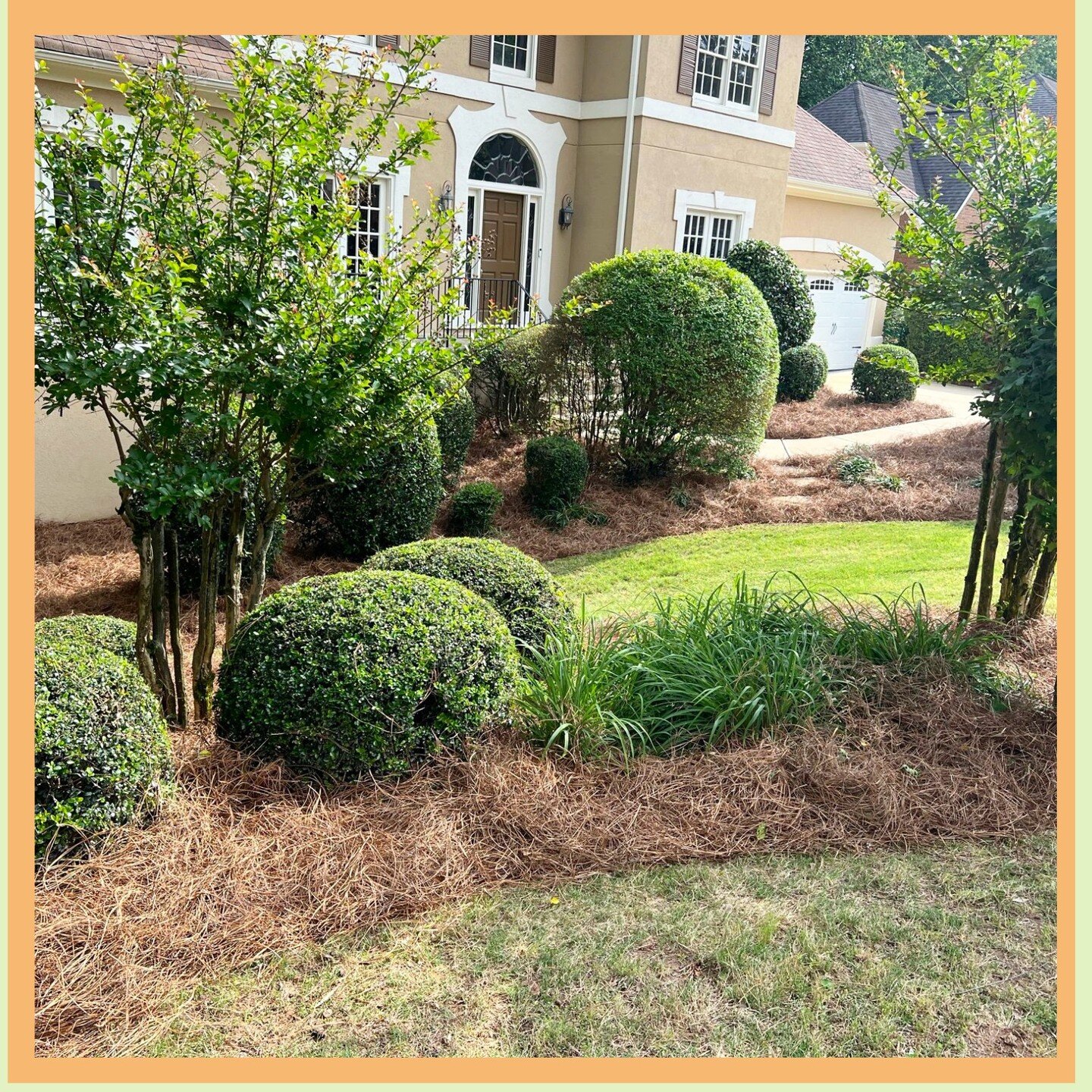 Shrubs are the backbone of a well-designed landscape, providing structure, privacy, and year-round curb appeal.

#softscape #landscapedesign #atlrealestate #nature #curbappeal