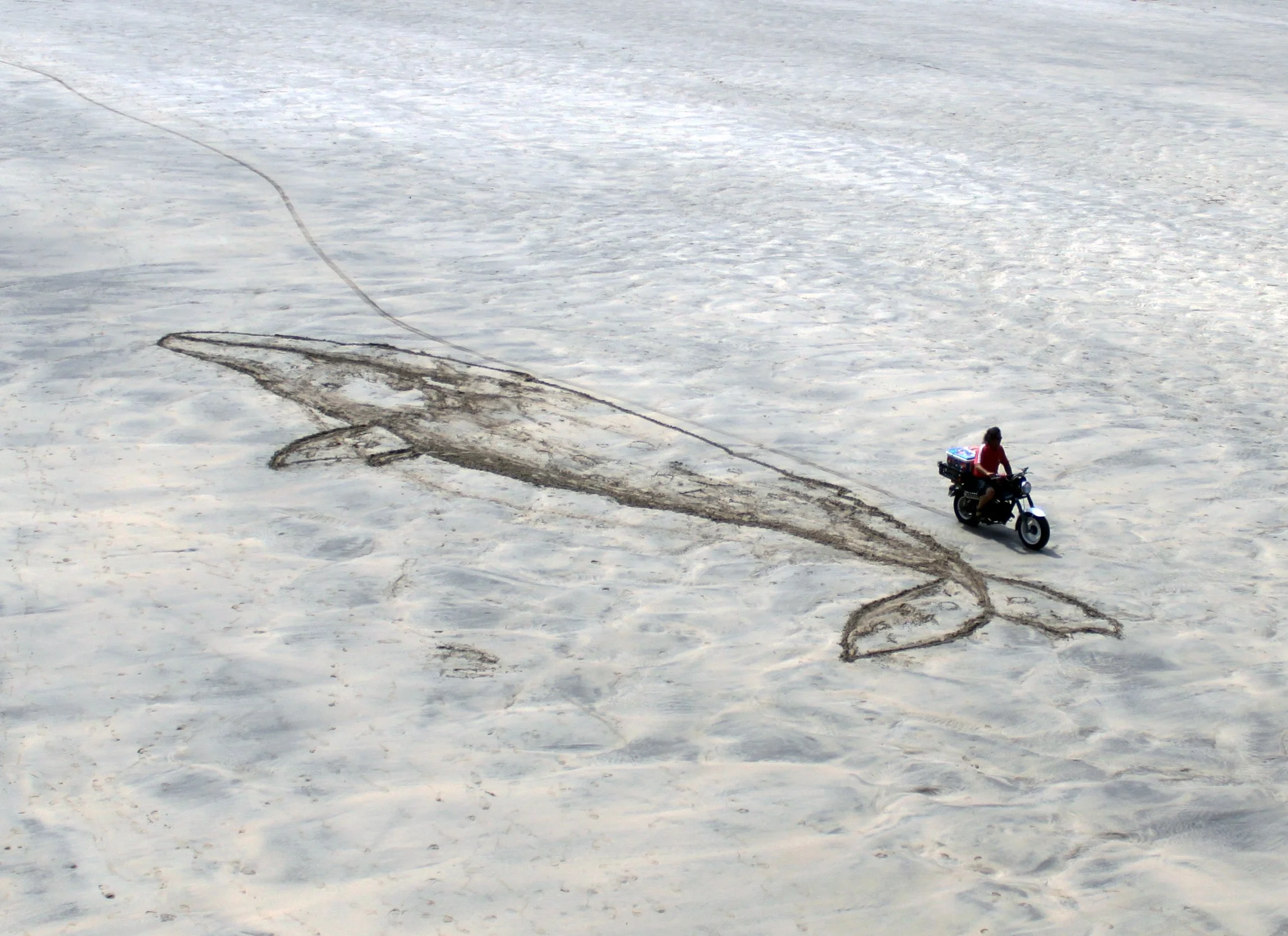 Gray Whale with Motorbike, sand drawing, 1400cm, 2011.jpg
