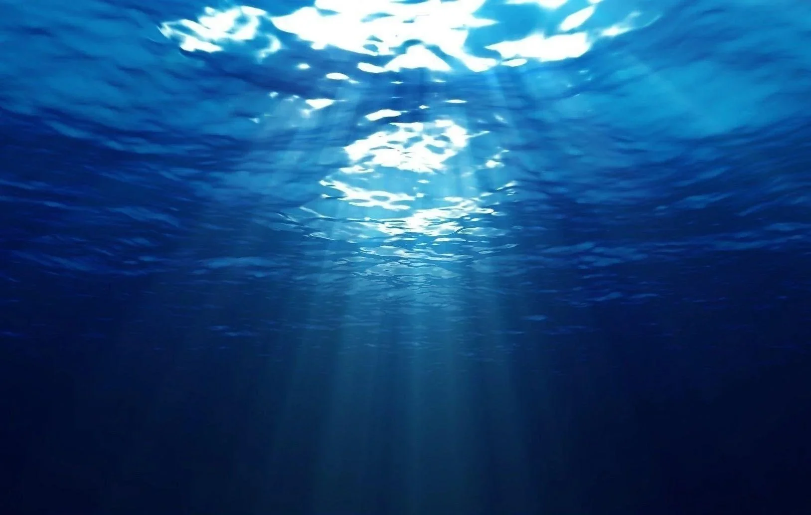 Undefinable Submerged Object