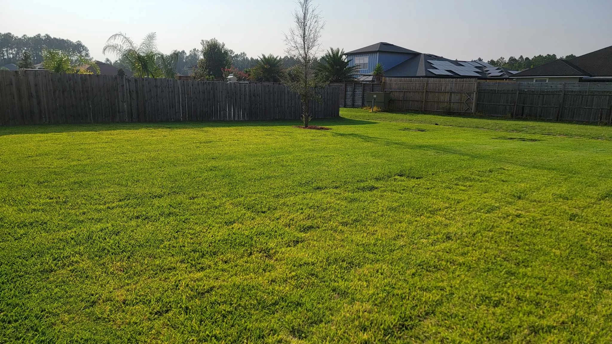 3130 Vianey Pl 7.jpeg