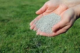 Hands holding and pouring a granular substance, likely fertilizer, onto a grassy lawn