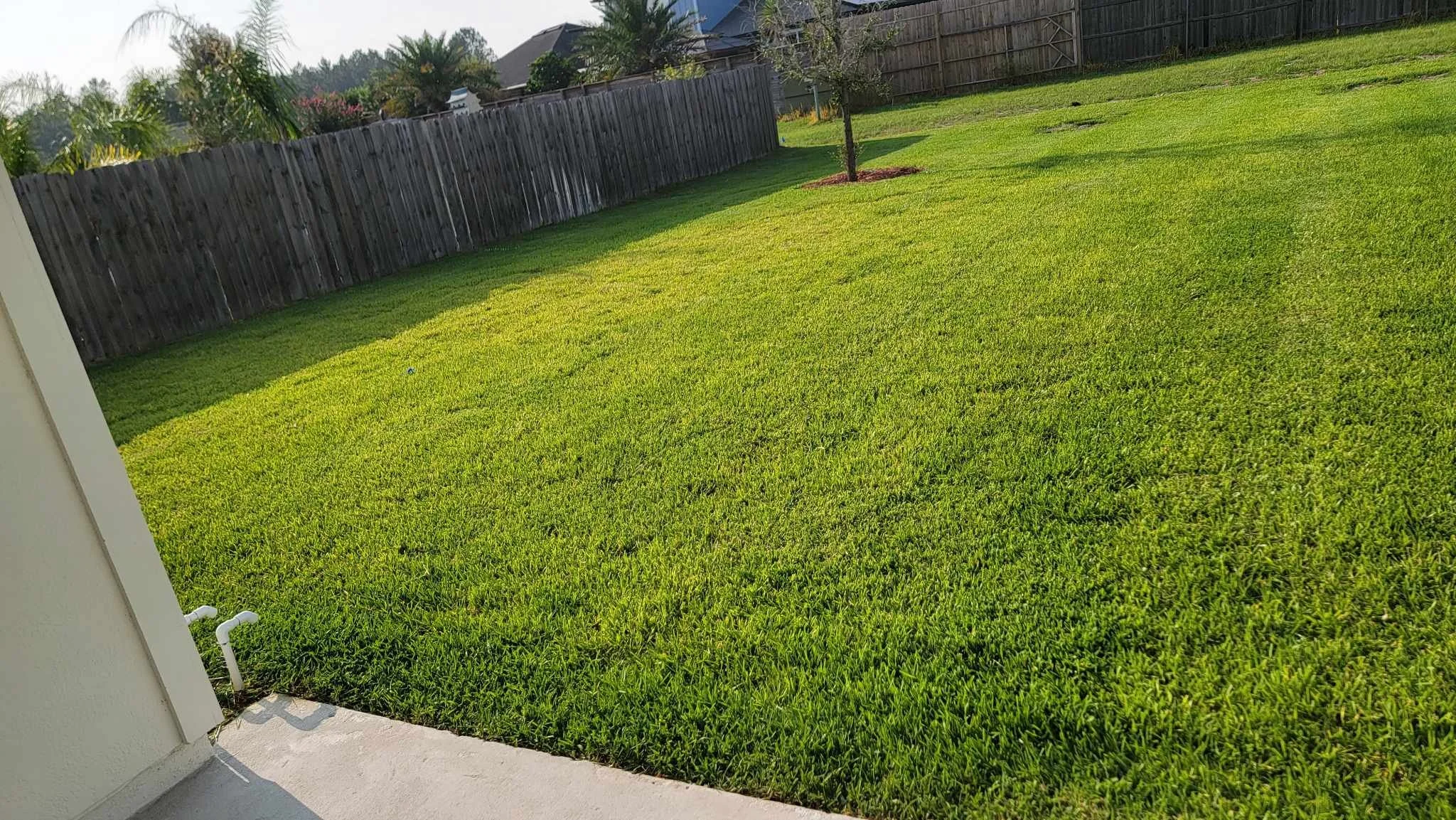 3130 Vianey Pl 11.jpeg