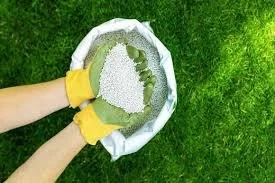 Person wearing yellow gloves planting or transplanting small plants into soil in a garden bed.