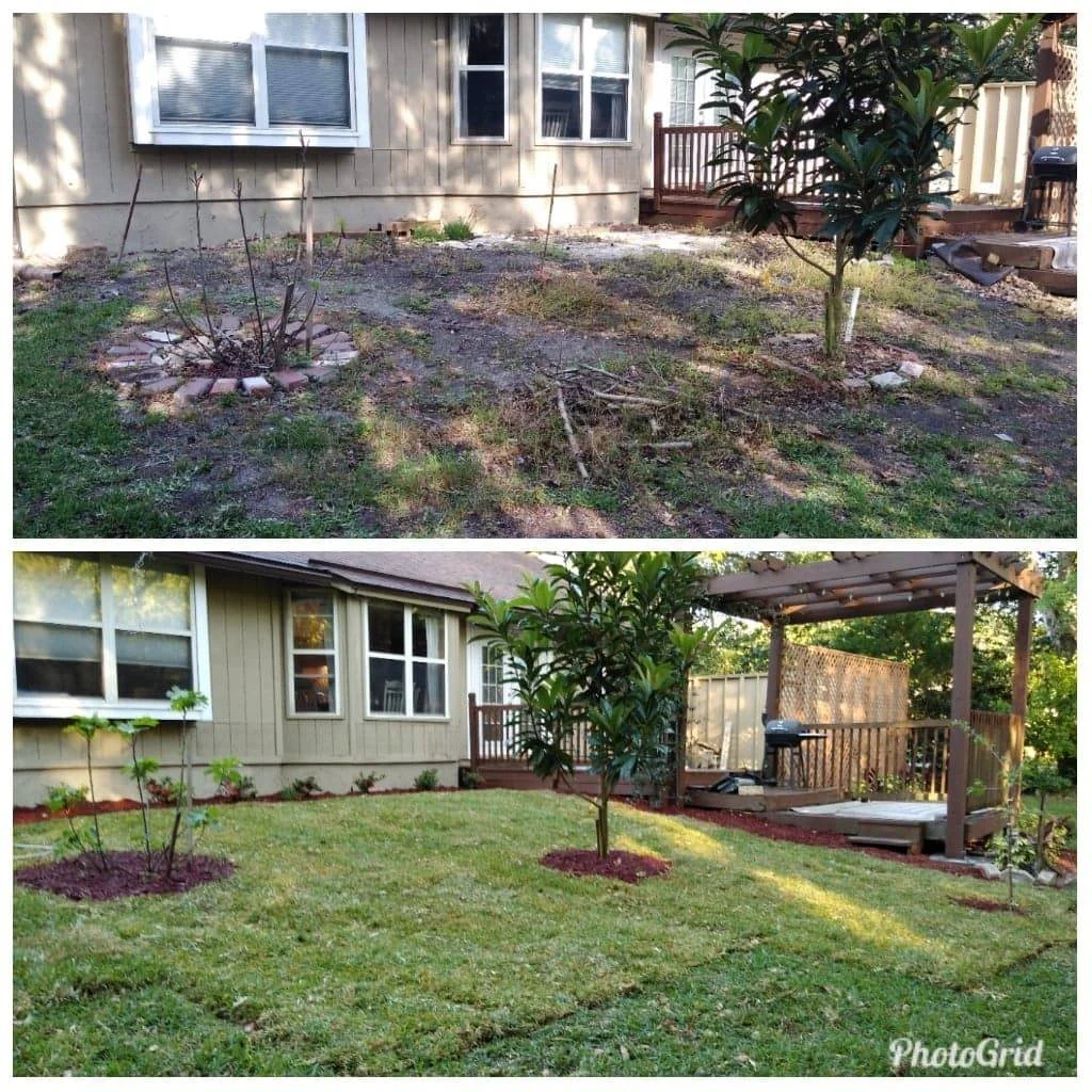 Cheapest $25 lawn service near me