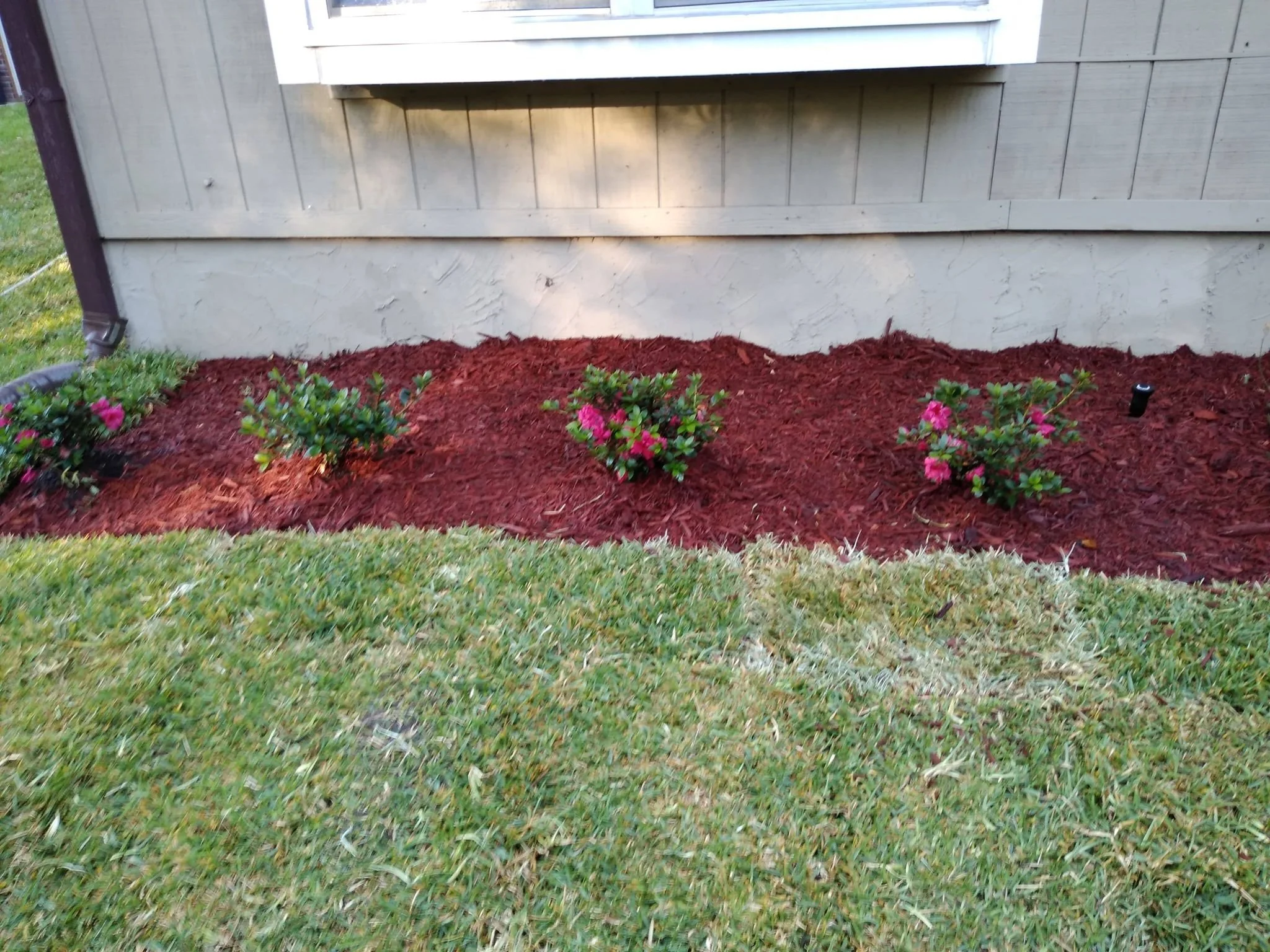 Gallery | Enhance Your Lawn Today — Lawn Service Near Me LLC