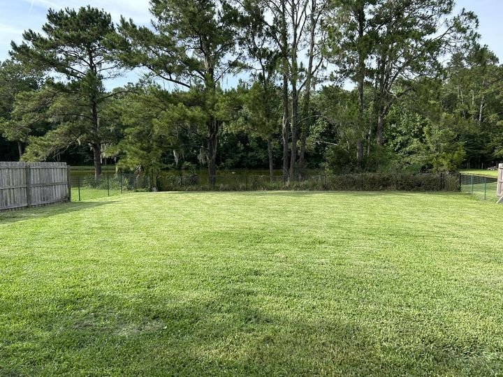 3222 Merganzer OP AFTER.jpg