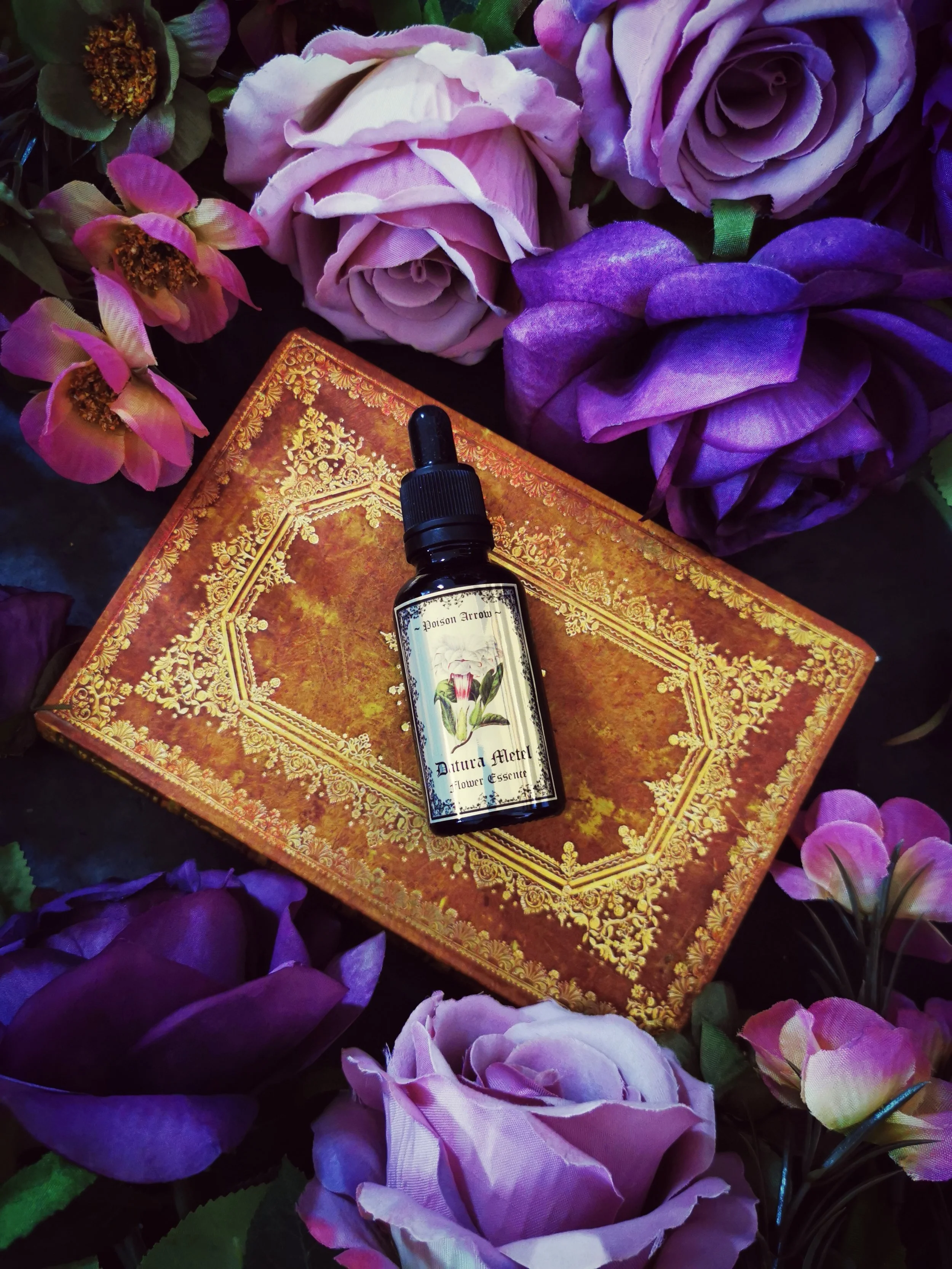 Datura Metel Flower Essence