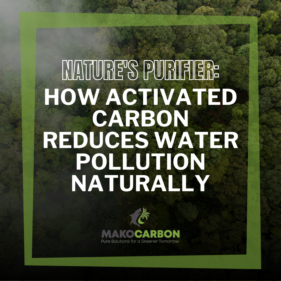 How Activated Carbon Reduces Water Pollution Naturally: Nature's Purifier