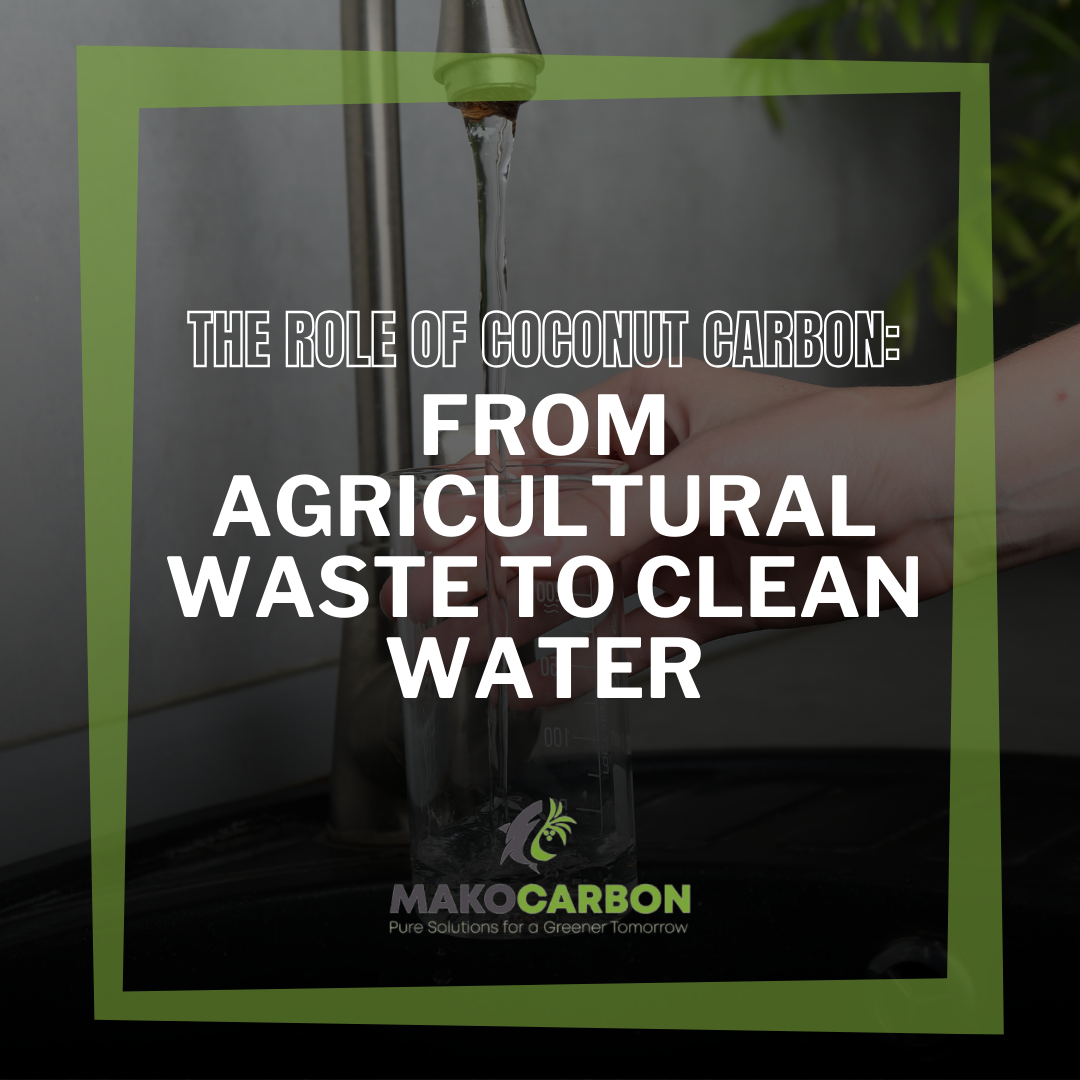 From Agricultural Waste to Clean Water: The Role of Coconut Carbon