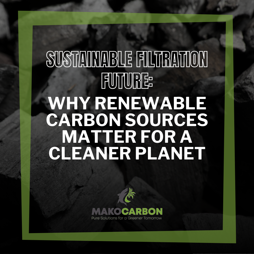 Why Renewable Carbon Sources Matter for a Cleaner Planet: Sustainable Filtration Future