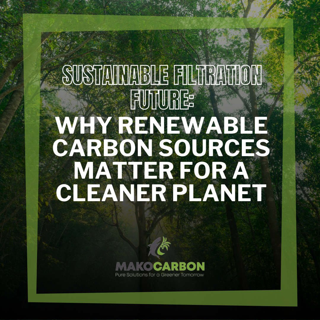 Why Renewable Carbon Sources Matter for a Cleaner Planet: Sustainable Filtration Future