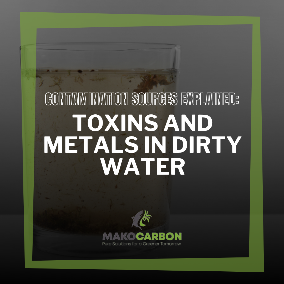 Toxins and Metals in Dirty Water: Health Risks and Contamination Sources Explained