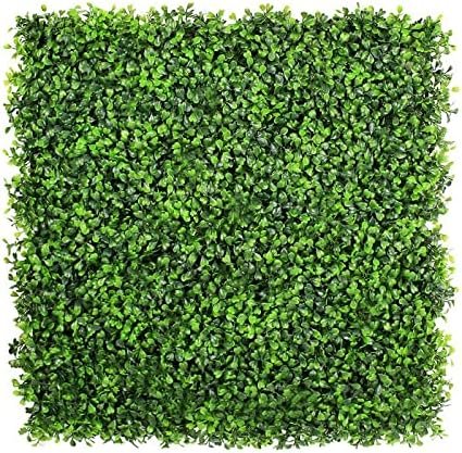 Light Green Wall