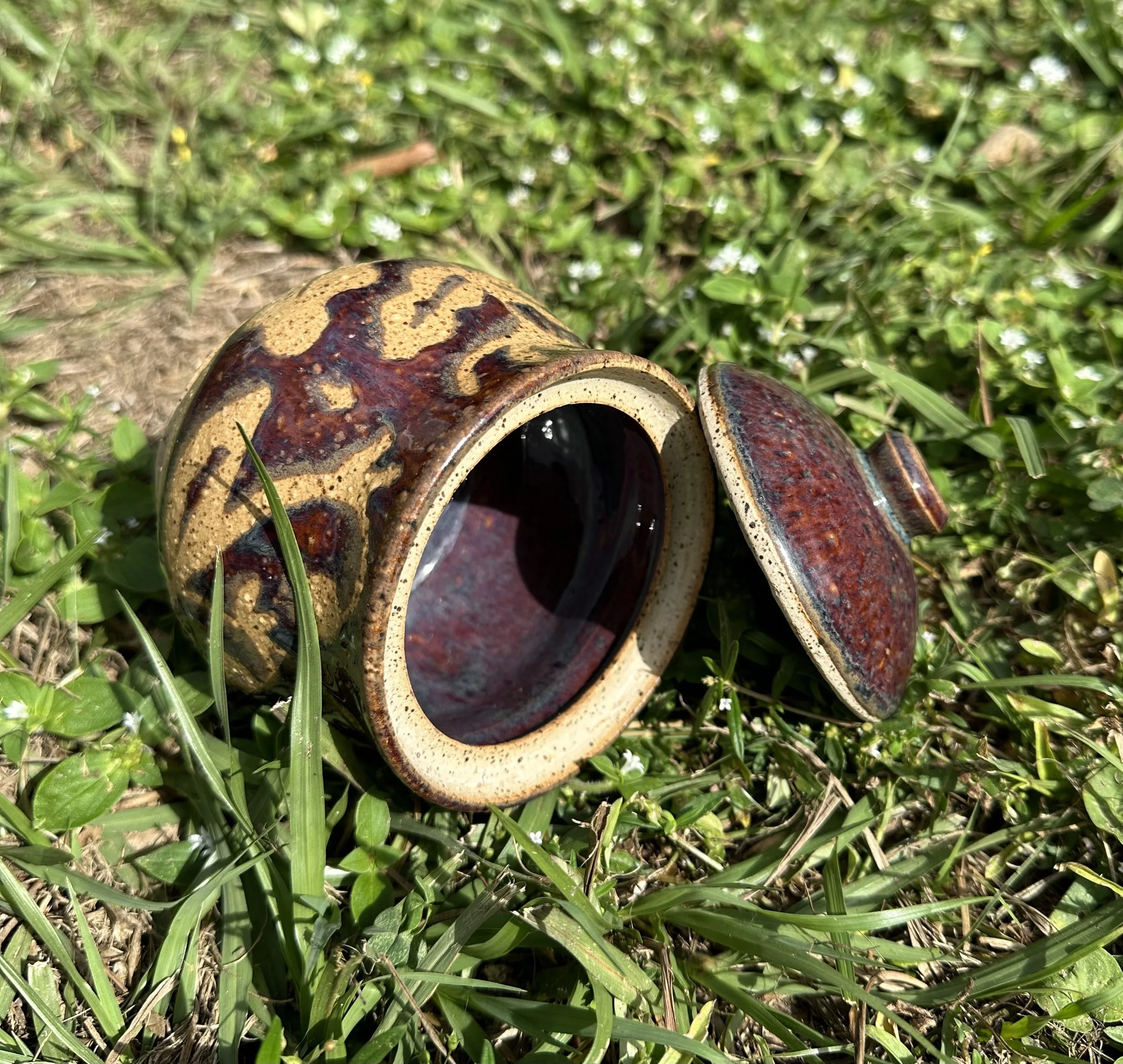 Adult Beginning/Intermediate Pottery