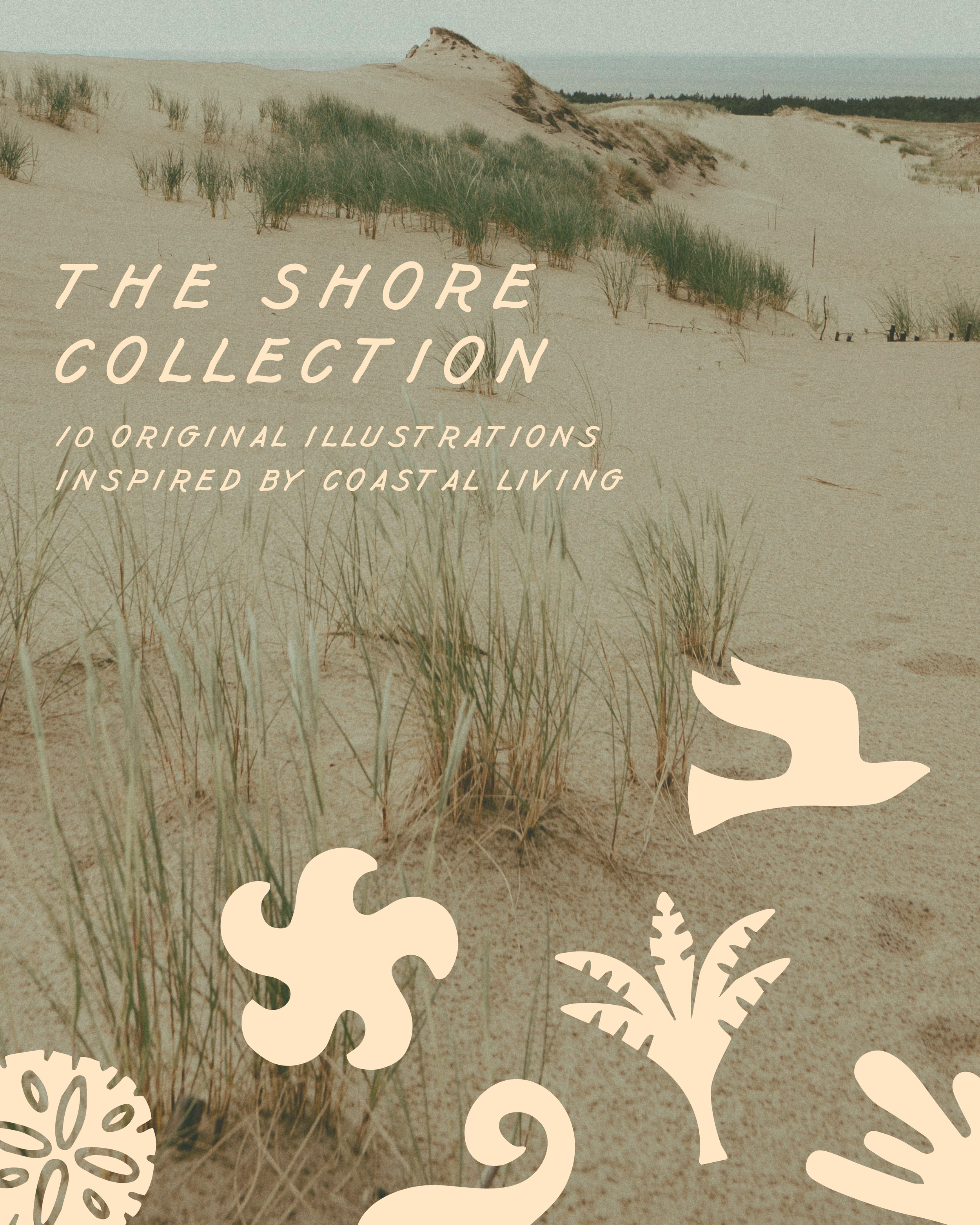 by-hand-designs-shore-collection-illustrations.png
