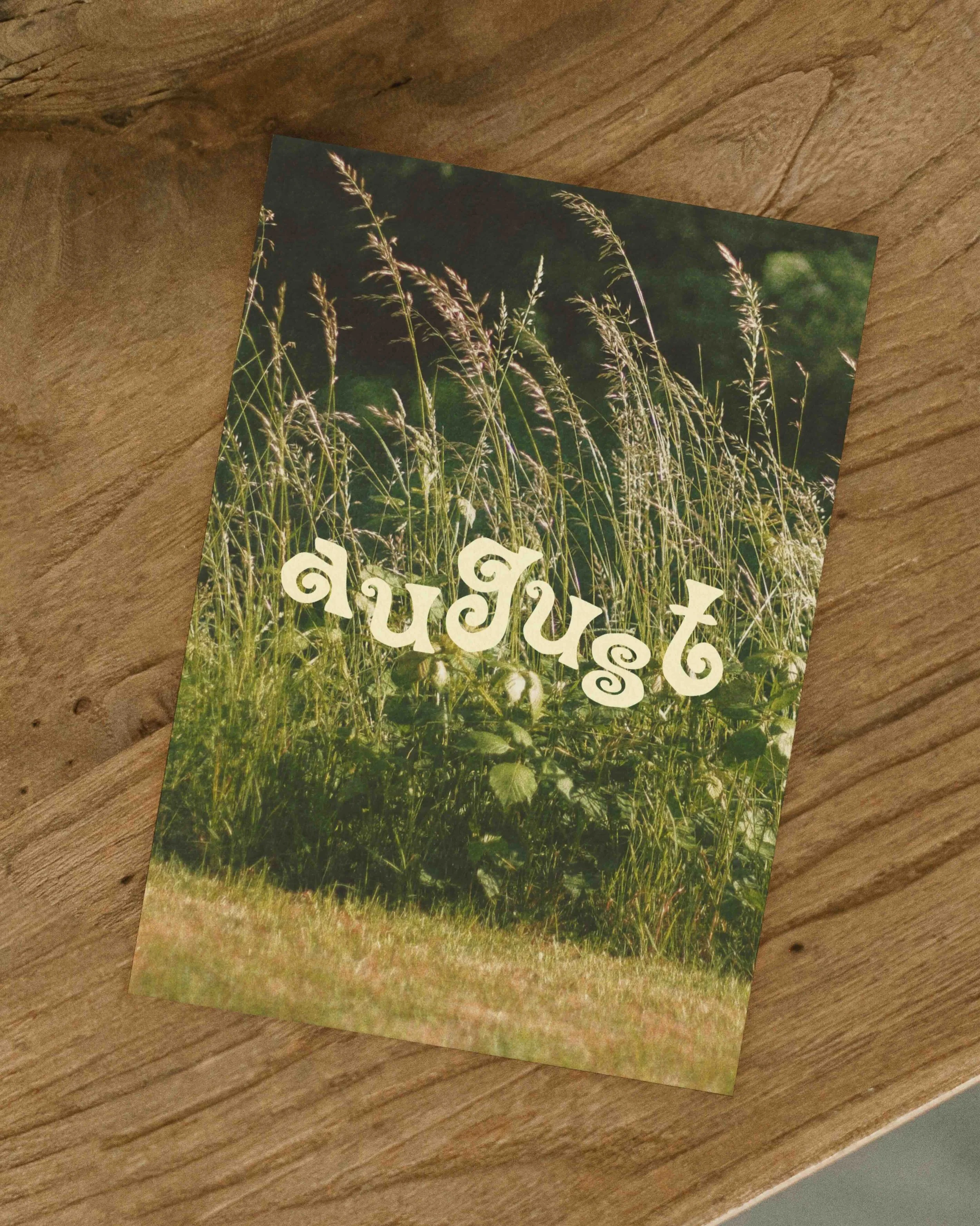 Editorial postcard featuring the August hand drawn display font over a nature photograph, demonstrating expressive typography Frankie from By Hand Designs for branding, packaging, and creative design.