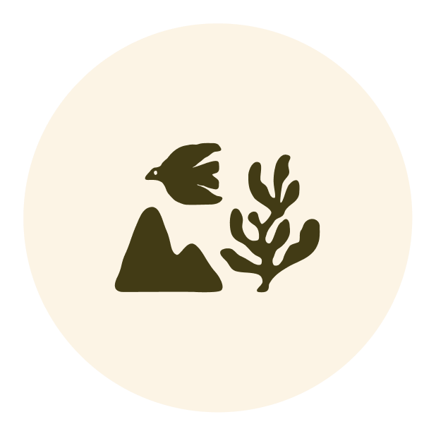 Silhouette of a bird flying near a mountain and a plant for Wildhaven Wools. A custom hand-drawn logo design for a kids lifestyle brand in Alaska