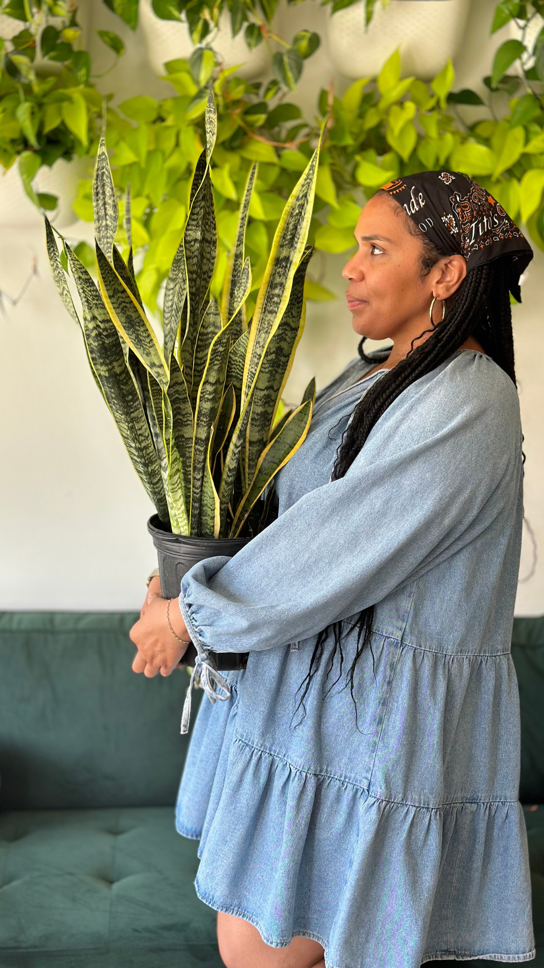 Victoria holding a snake plant at The Botanical Bar
