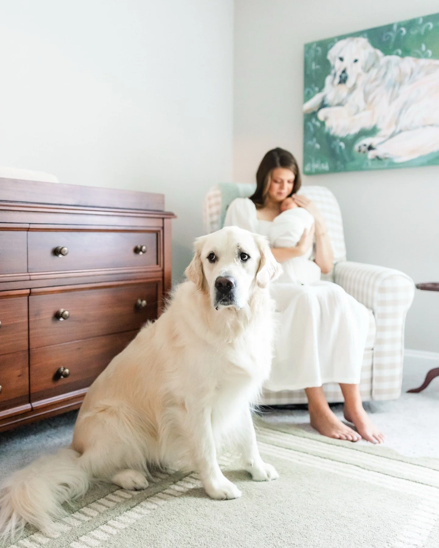 When best buds meet 🐶👶🏻 swipe to see the goodest boooyyy

If your pup is the shadow at your feet, the one who learned your rhythms long before your arms were full, including them into newborn photos isn&rsquo;t about perfection, it&rsquo;s about t