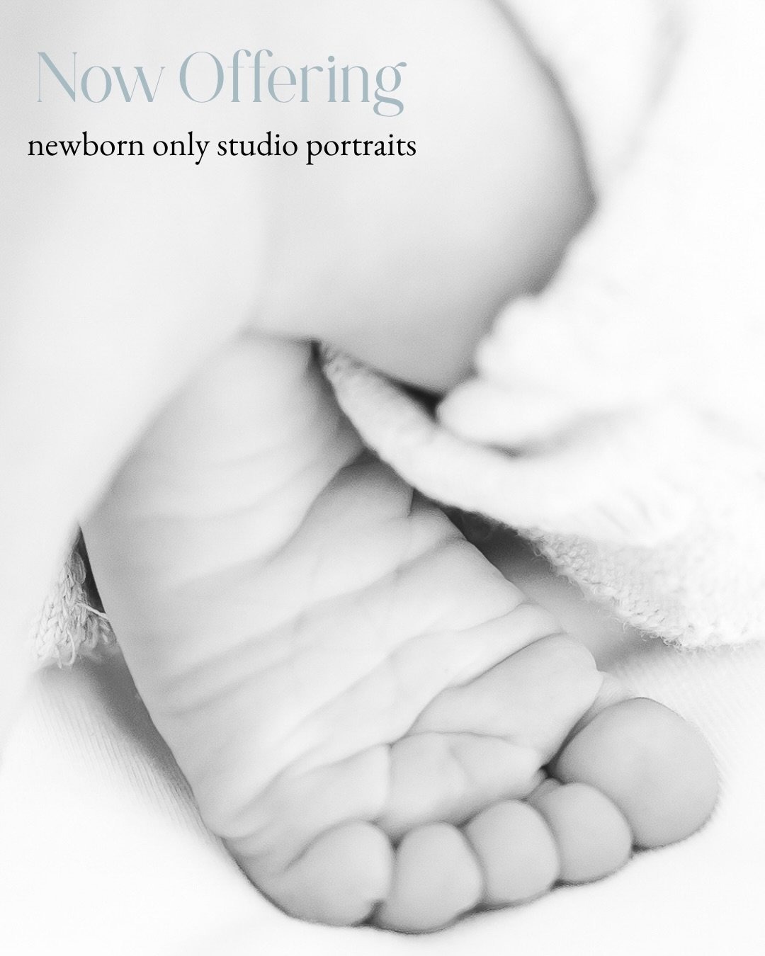 NEW OFFERING! 🤍 Newborn Only Studio Portraits!
Because sometimes, it&rsquo;s the tiniest details that deserve a little extra attention.
Those squishy little cheeks, the tiny toes that somehow always end up curled, the sleepy stretches, the big yawns