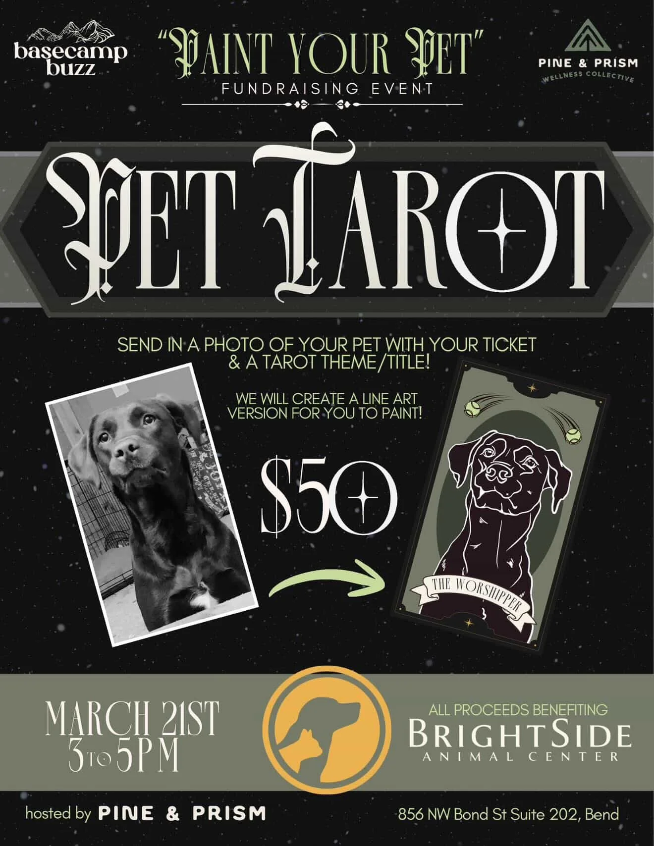 Pet Tarot