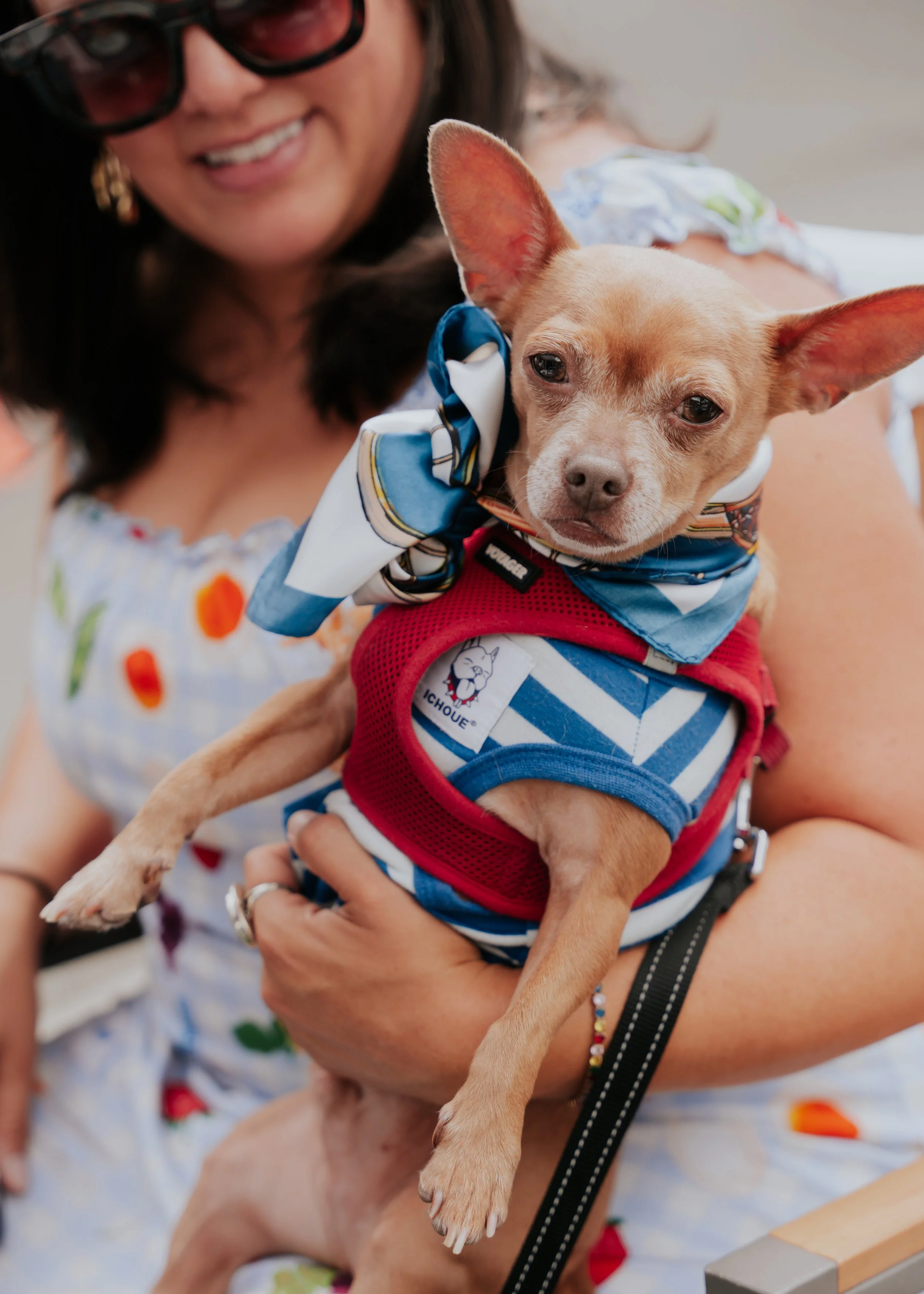 PUPPORTRAIT-05797.jpg