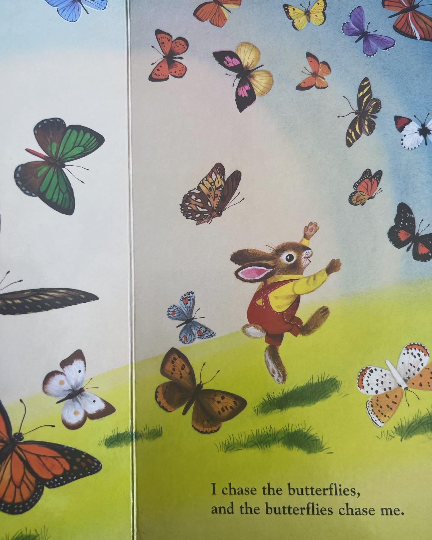 I am a Bunny by Ole Rison, Illustrated by Richard Scary ❄️🌸☀️🍁 one of my favorite books to read when the seasons change. 

🐇 Talk about the warm weather we are having today. Is it hot or cold? Sunny or rainy? Do you feel the wind today? 

🐇 Take 