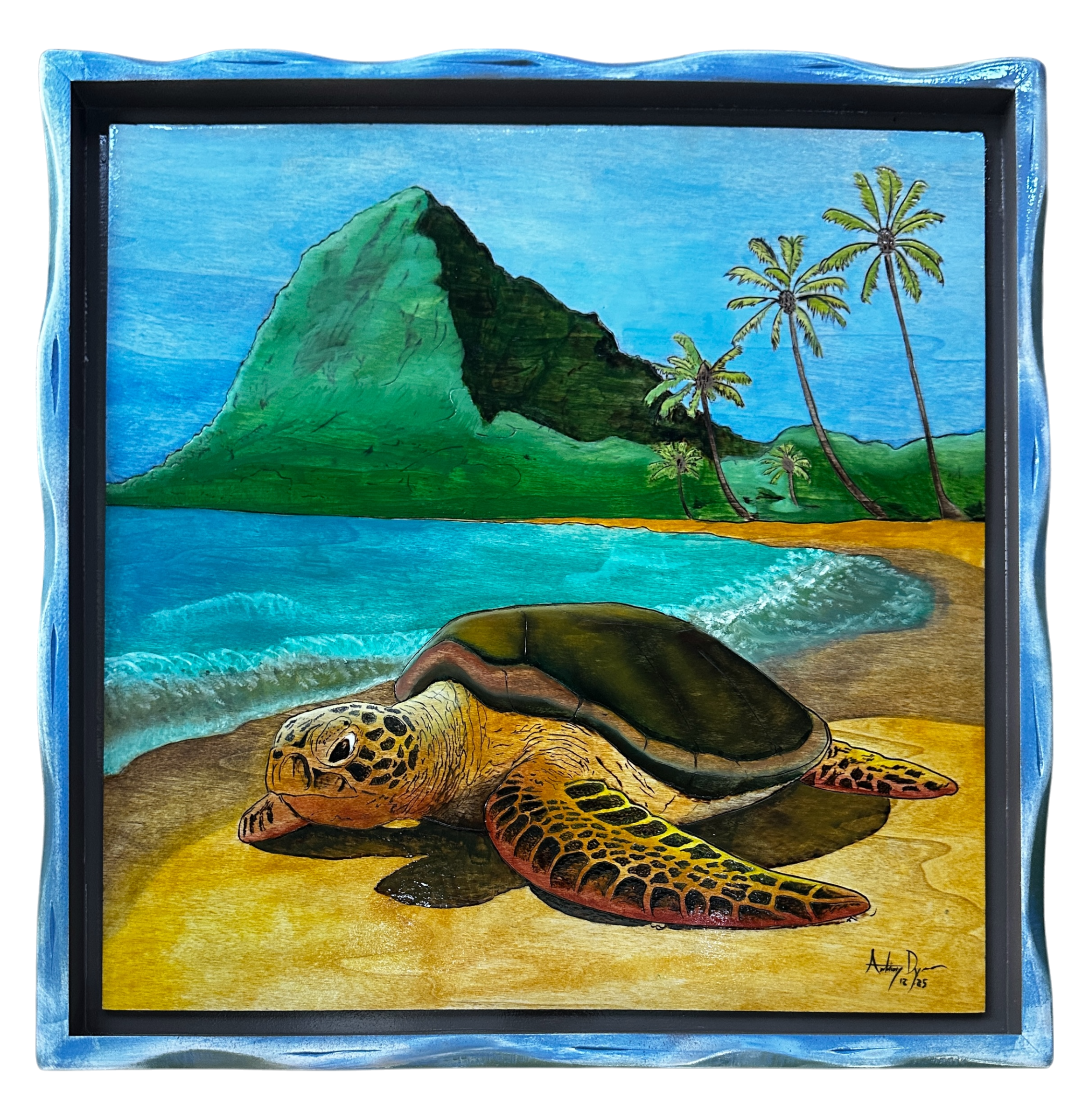 IMG_7983 resized.png