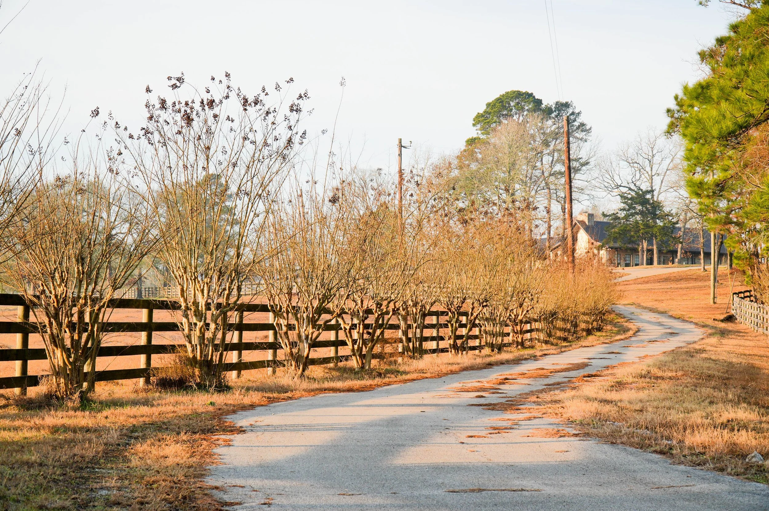 DSC05975-HDR.jpg