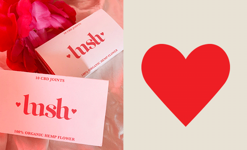 photoandlogo.gif