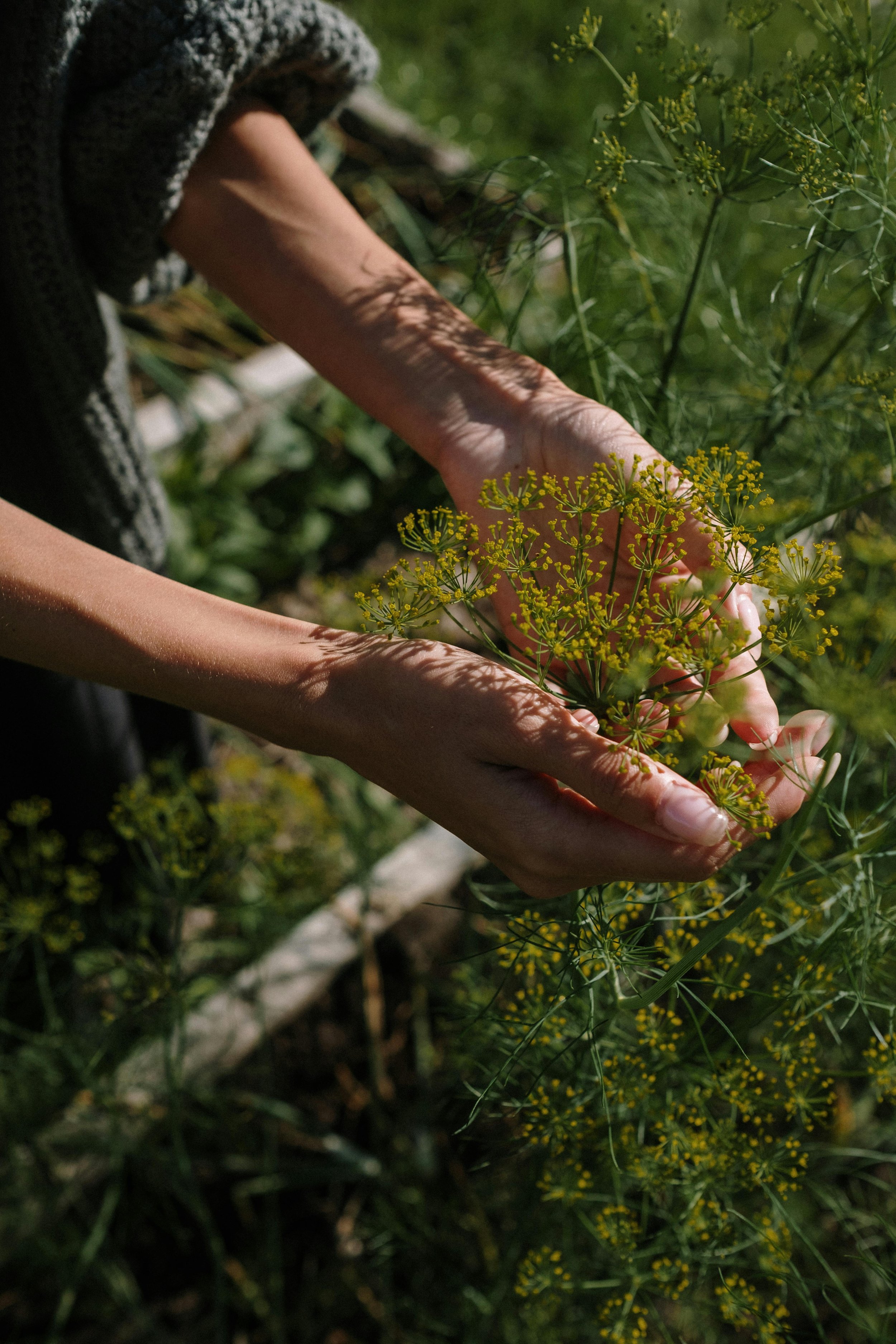 Everything is connected… An introduction to Ayurveda