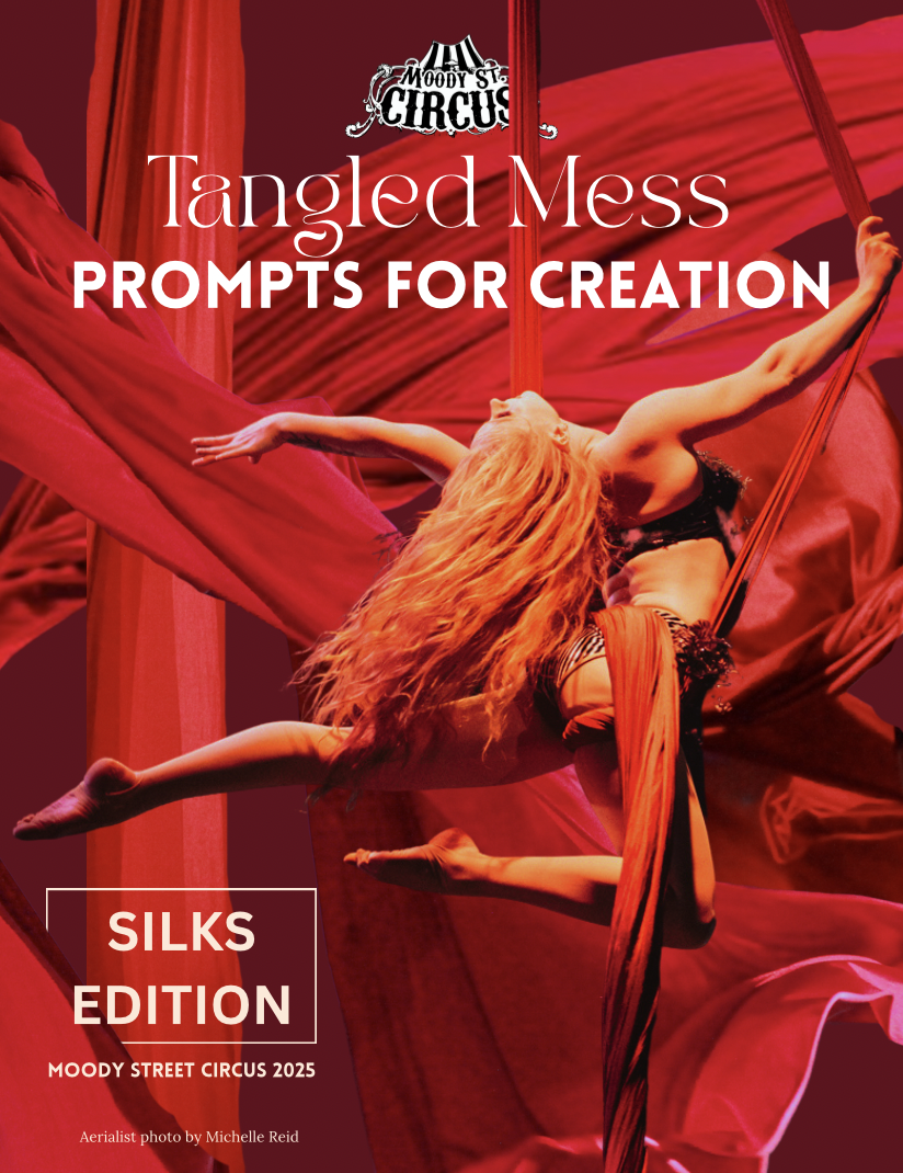 DIGITAL DOWNLOAD: Tangled Mess - Philosophy & Creativity Prompts for Aerial Silks