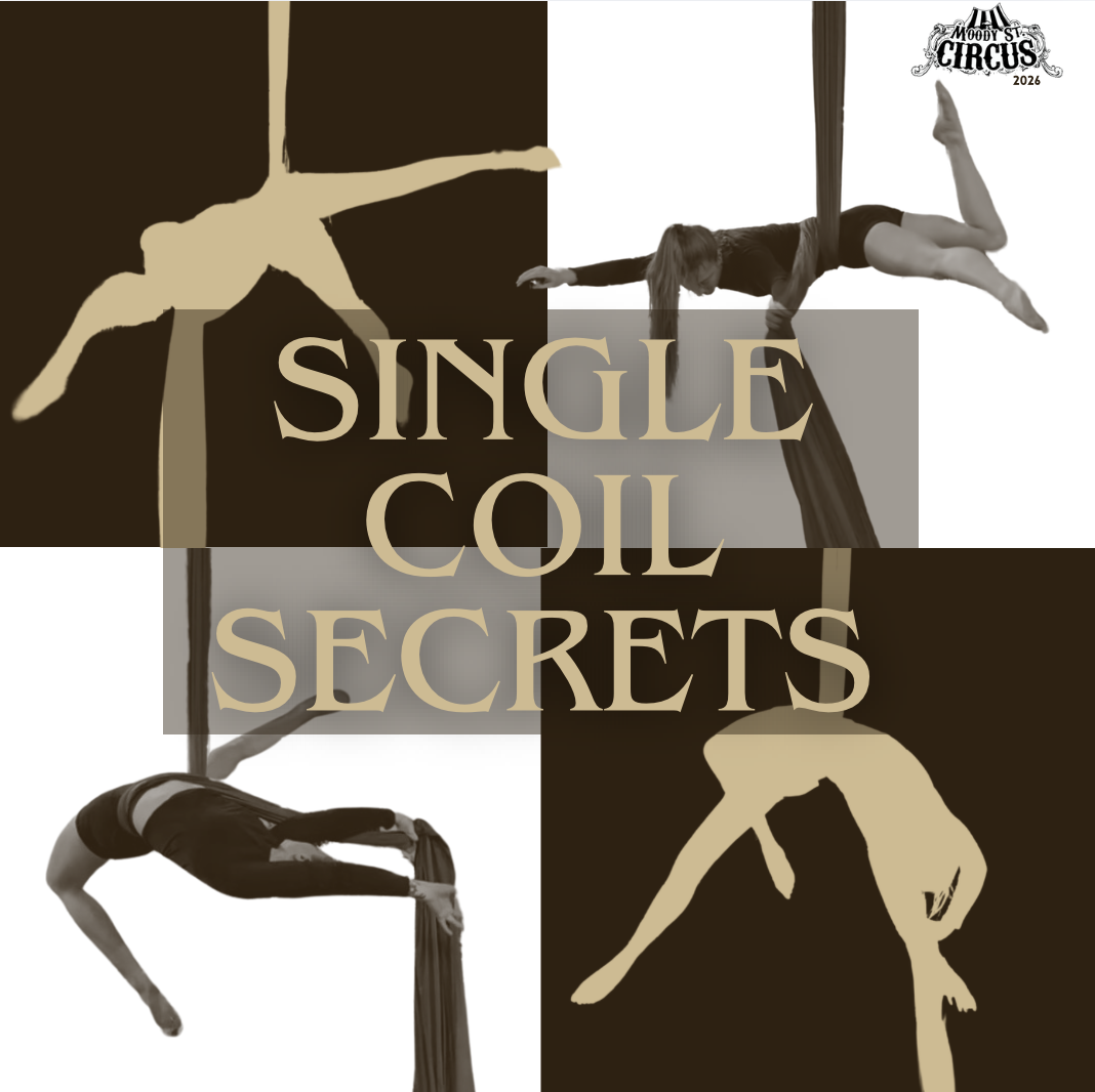 Single Coil Secrets Square Poster.png