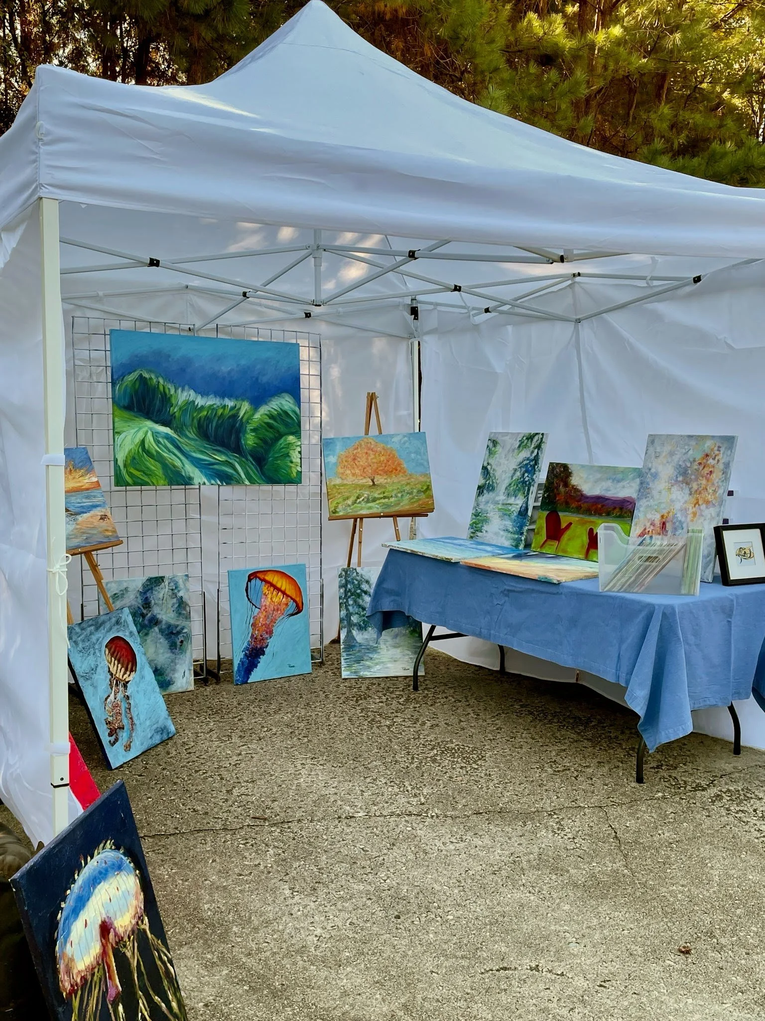 10x10' pop up tent used to display art for vendor market
