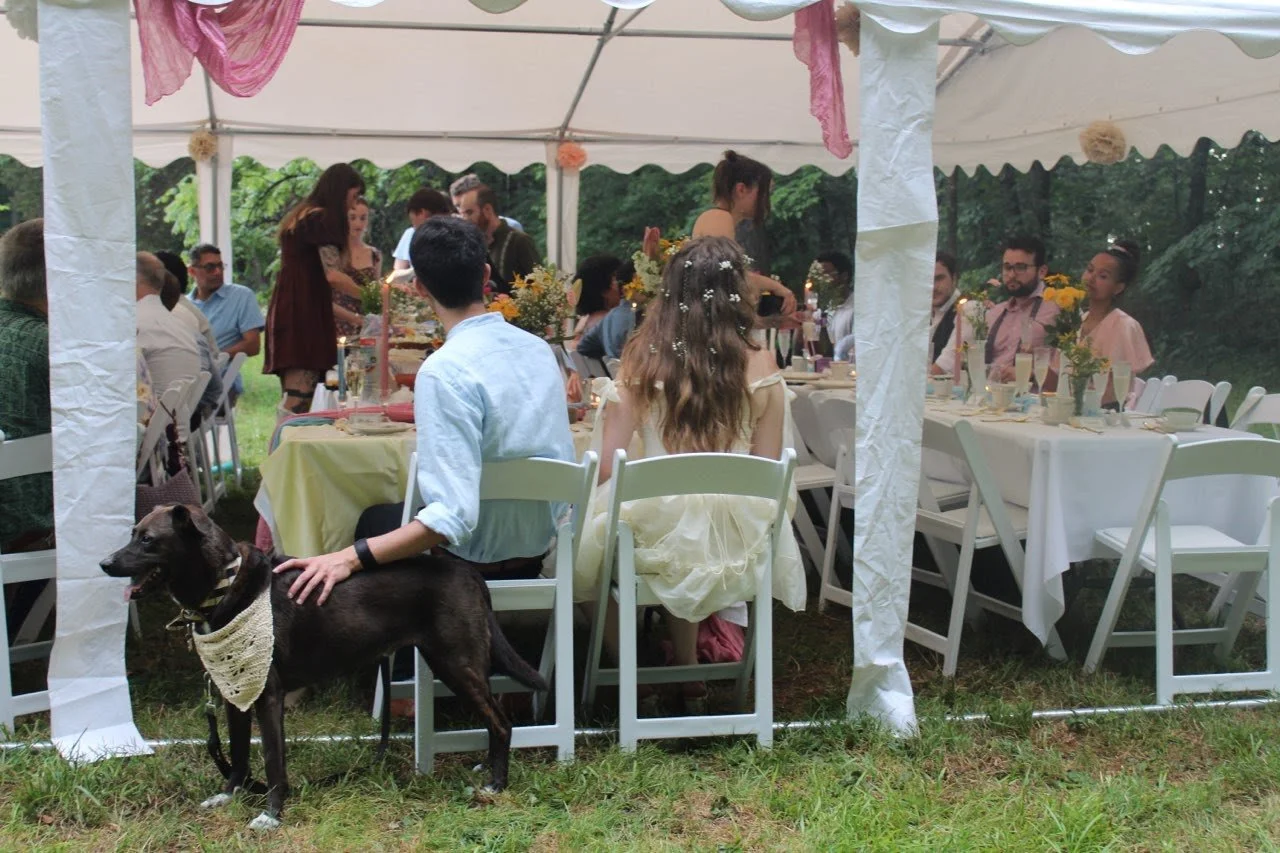 couple and dog celebrating in wedding tent