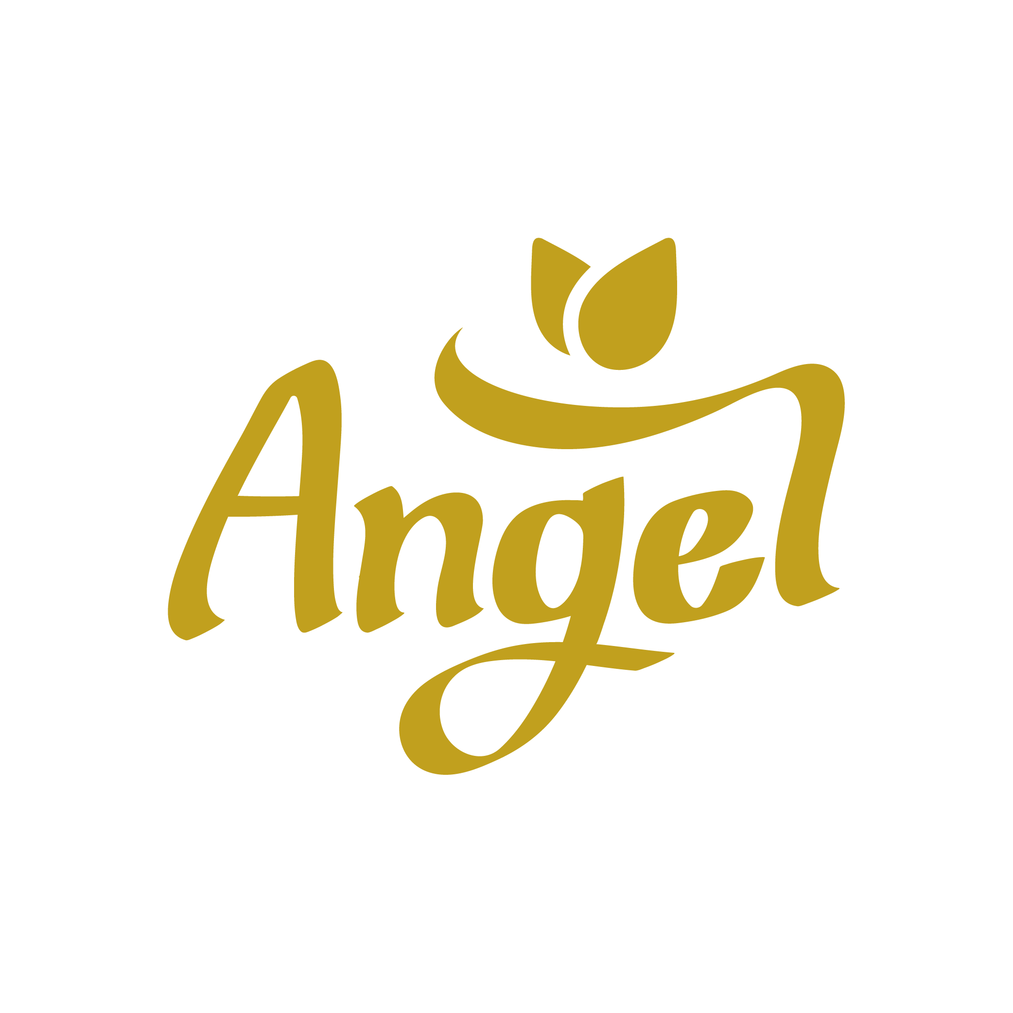 Angel—Logo—Primary.png