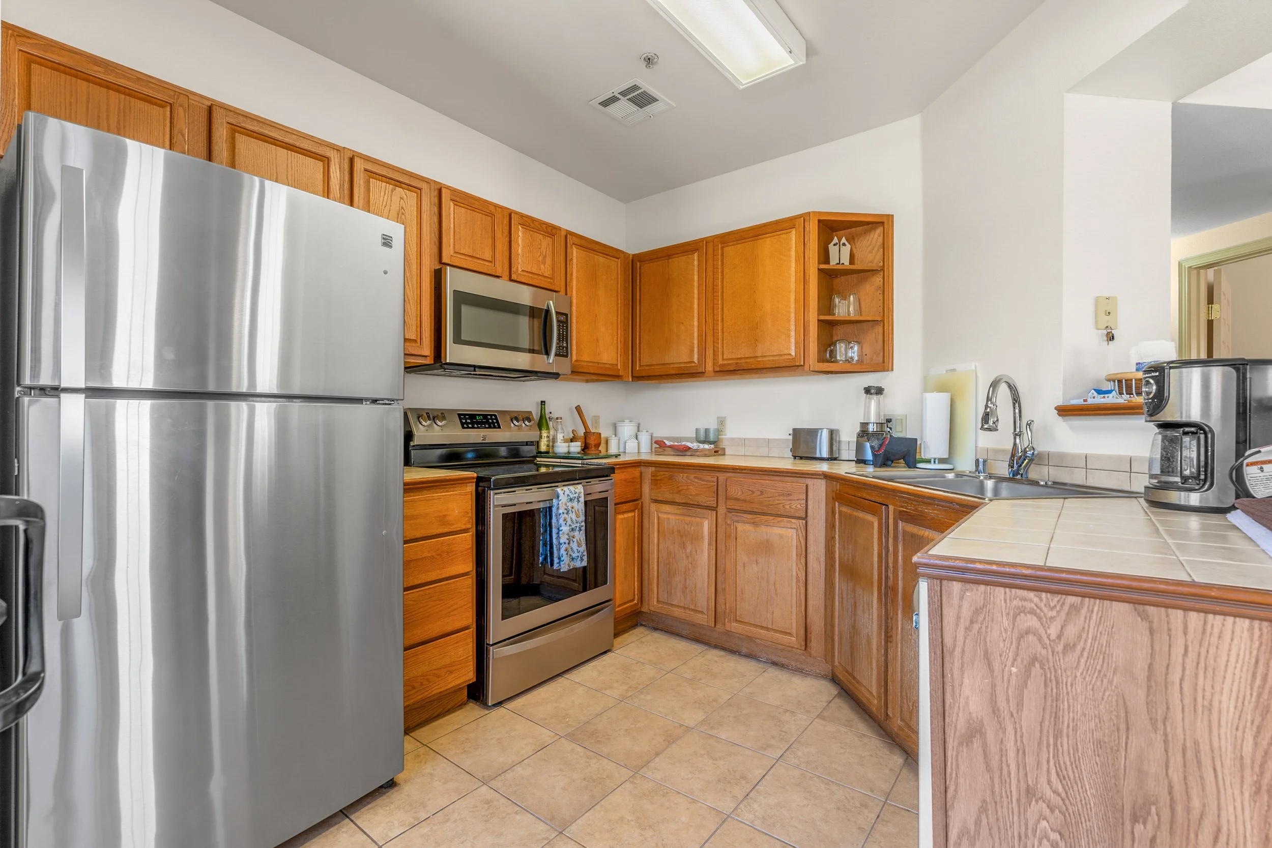 Morning Star - 18.5.JPG