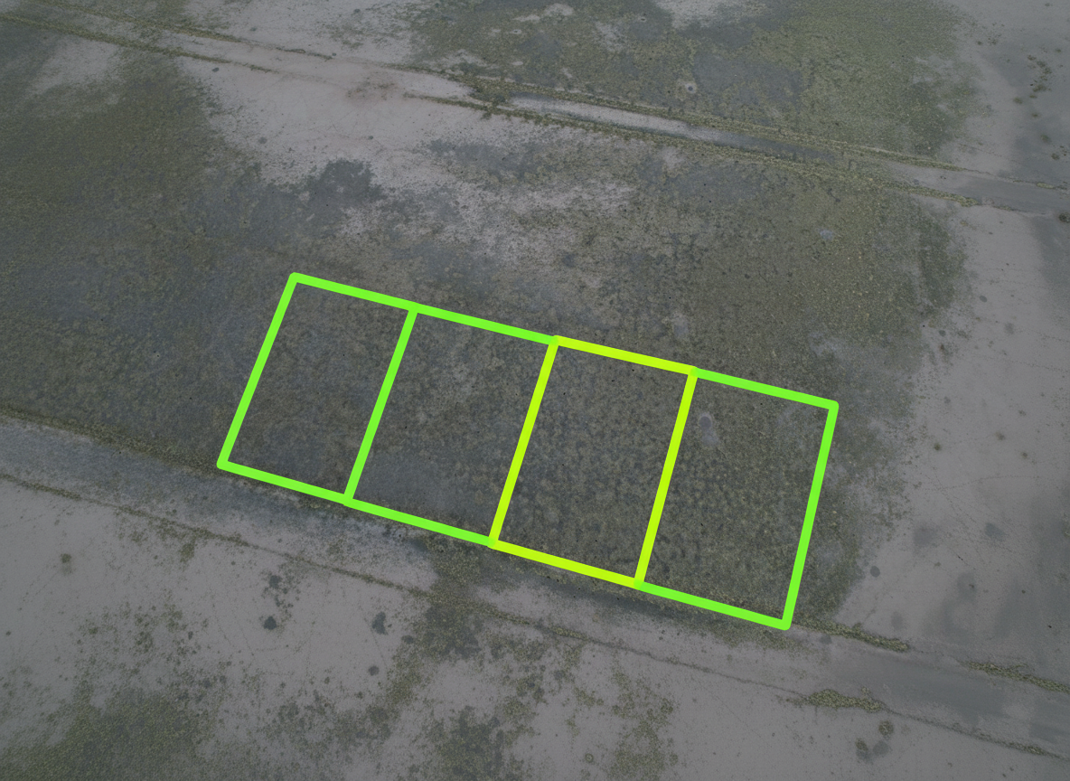 Firefly_straighten up the yellow borders  make them even with each other keep everything else 412773 (5).PNG