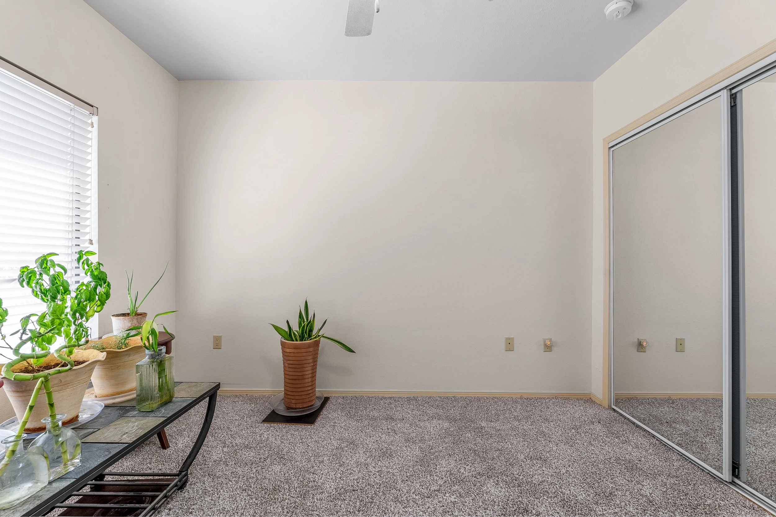 Morning Star - 34.JPG