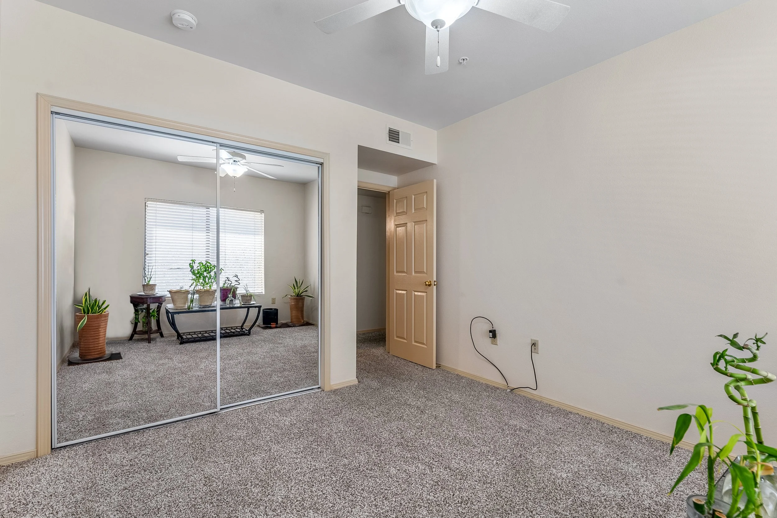 Morning Star - 33.JPG