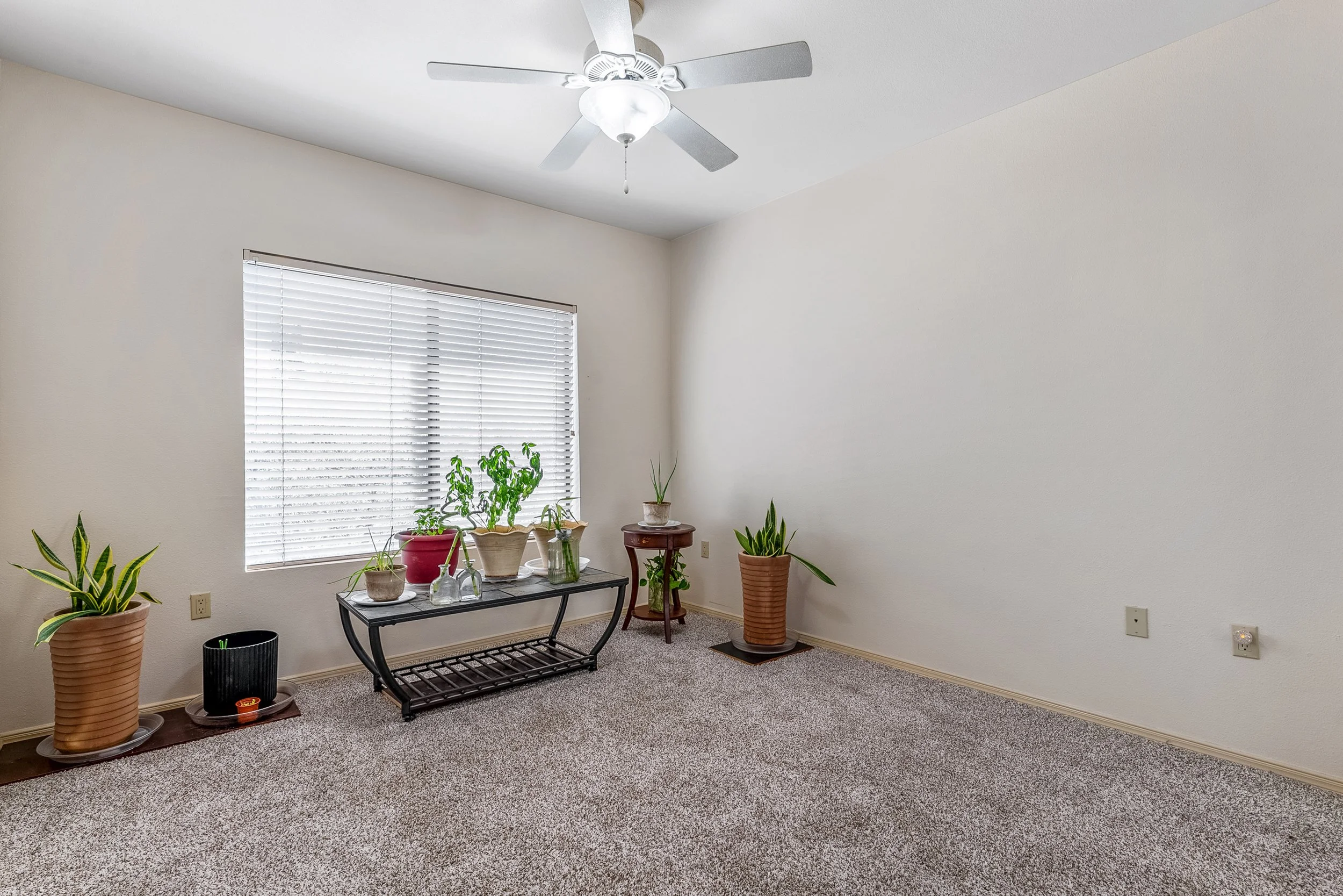 Morning Star - 32.JPG