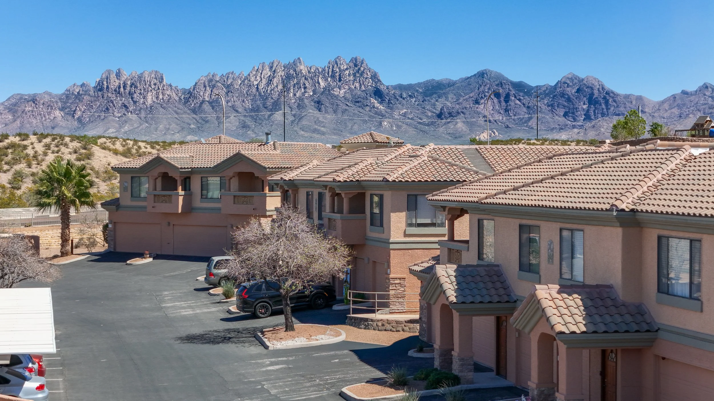 Morning Star - 2.jpeg