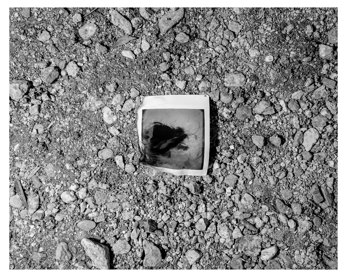 Currents will rise 
Angels will fall
The fisherman cries
As he tries escape his lull