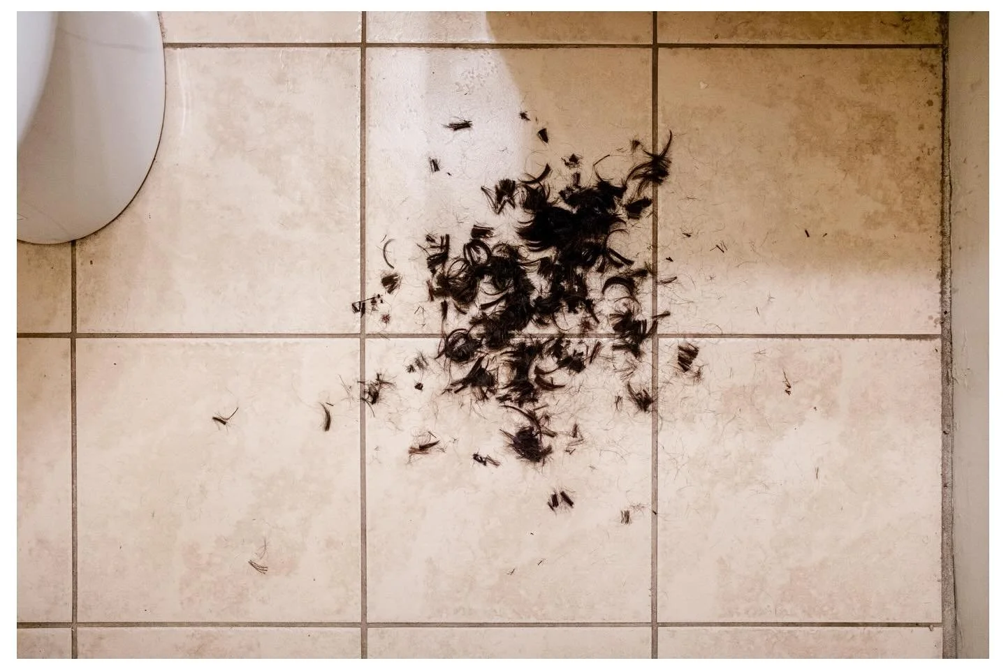 Slowing Down 

Images in chronological order 
1. My hair on my bathroom floor
2. A section from my late mothers  cancer blog 
3. Apiece made by father 
4. A meal with raf
5. My boss using my grill 
6. Scrap wood
7. Raf,Nico,Mason
8. Morning doves
9. 