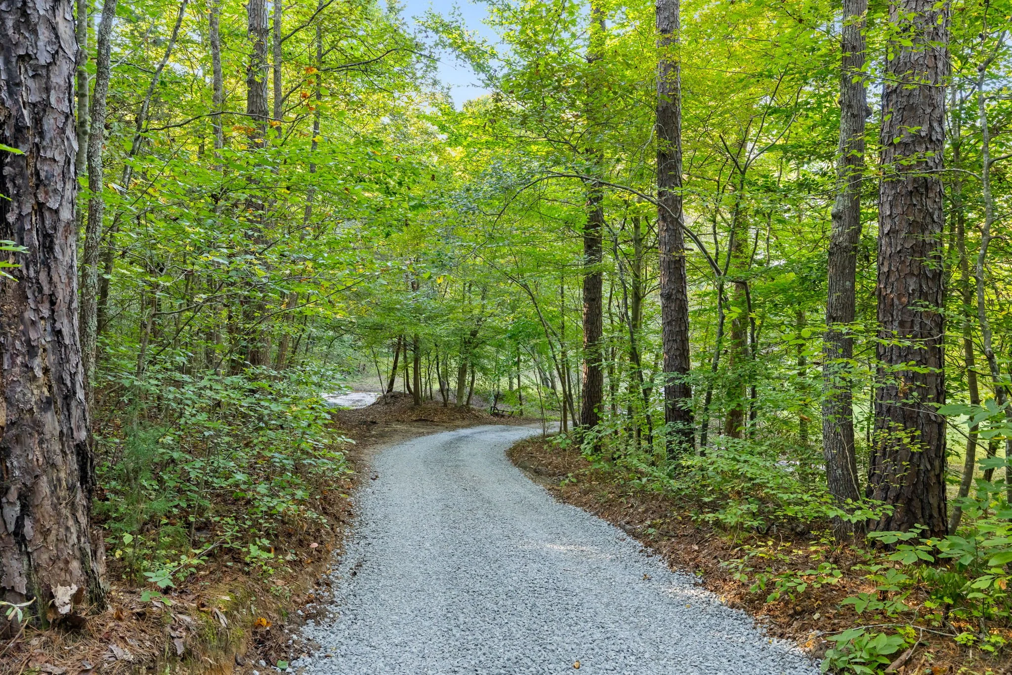 44-web-or-mls-Beech-Forest-44.jpg