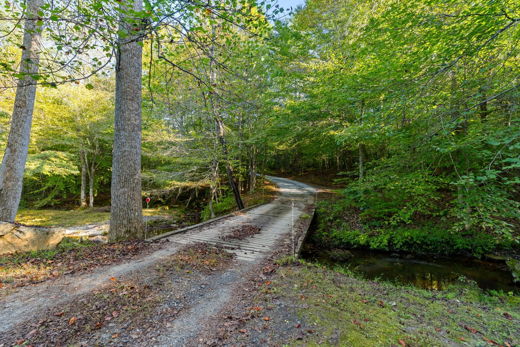 19-web-or-mls-Beech-Forest-19.jpg