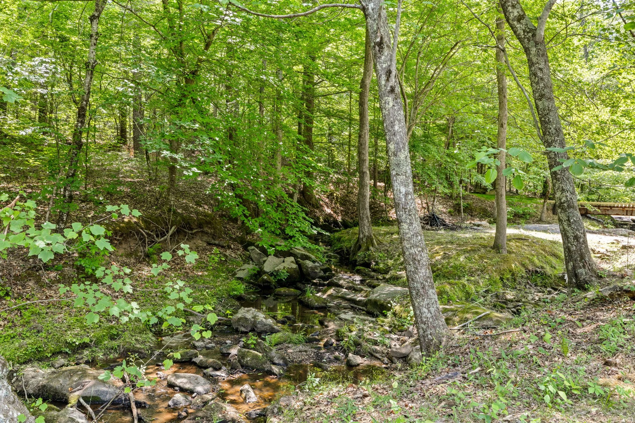 53-web-or-mls-Beech-Forest-Rd-53.jpg
