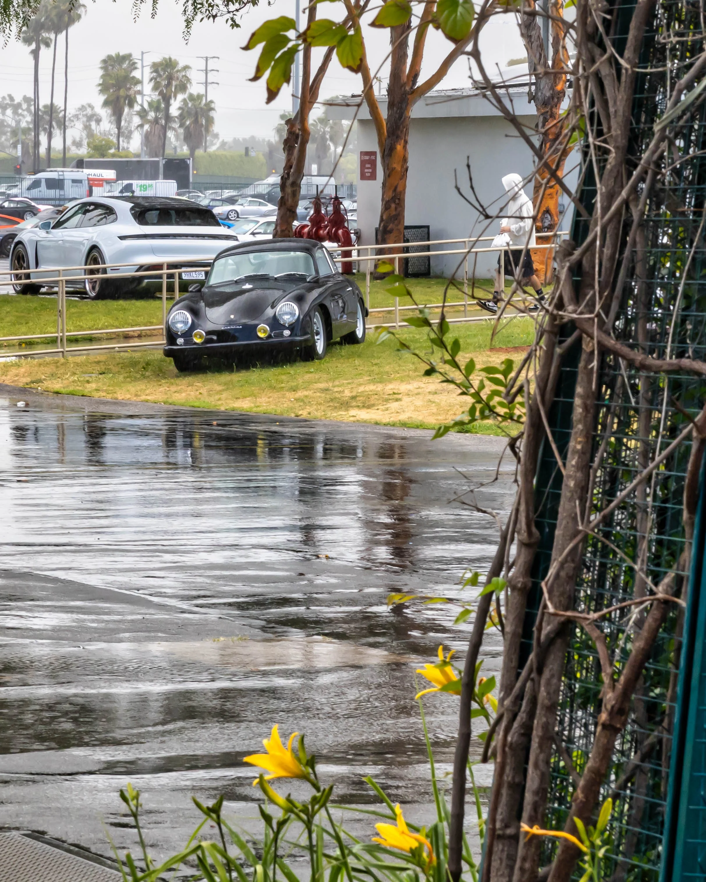 Air | Water 2025 — Emory Motorsports — OC Fairgrounds — A classic black Porsche 356 Emory Outlaw coupe with yellow auxiliary lights is parked on a grassy area during a rainy day. A modern white Porsche Taycan with bronze wheels is parked behind it. T