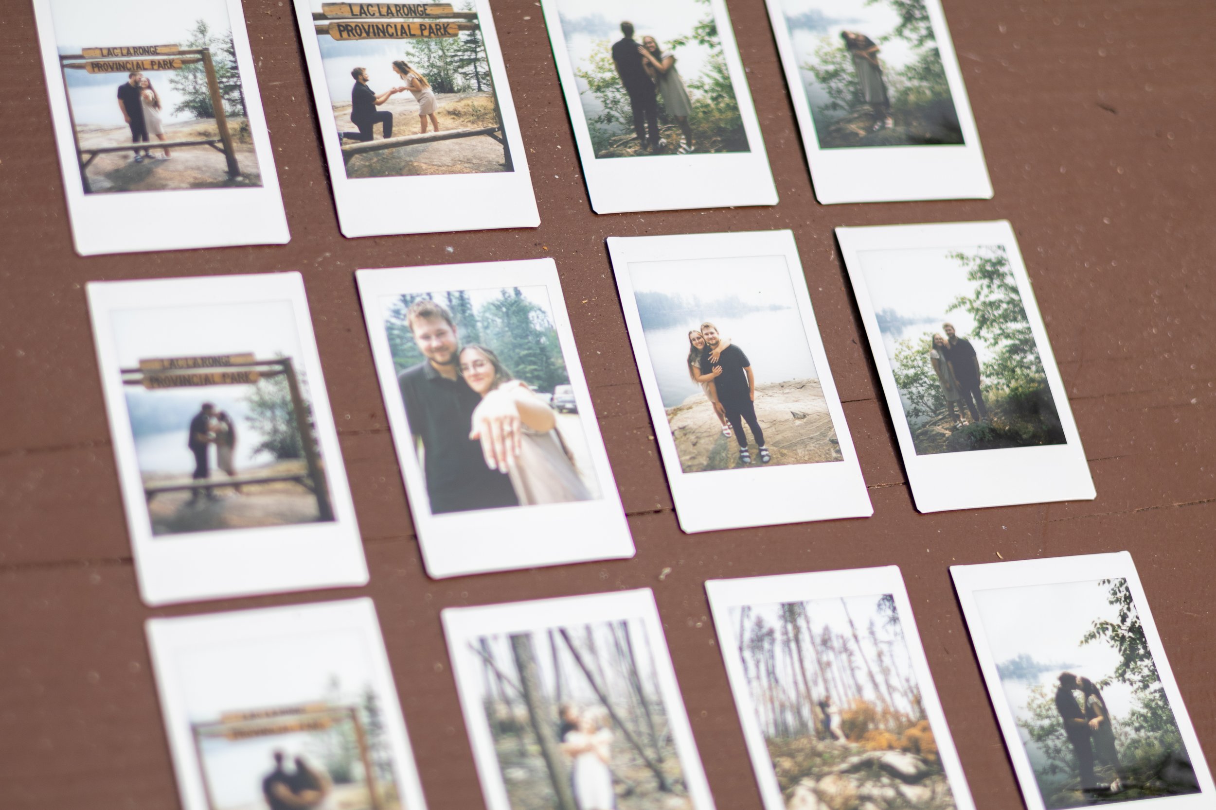 Engagement Photographer Prince Albert