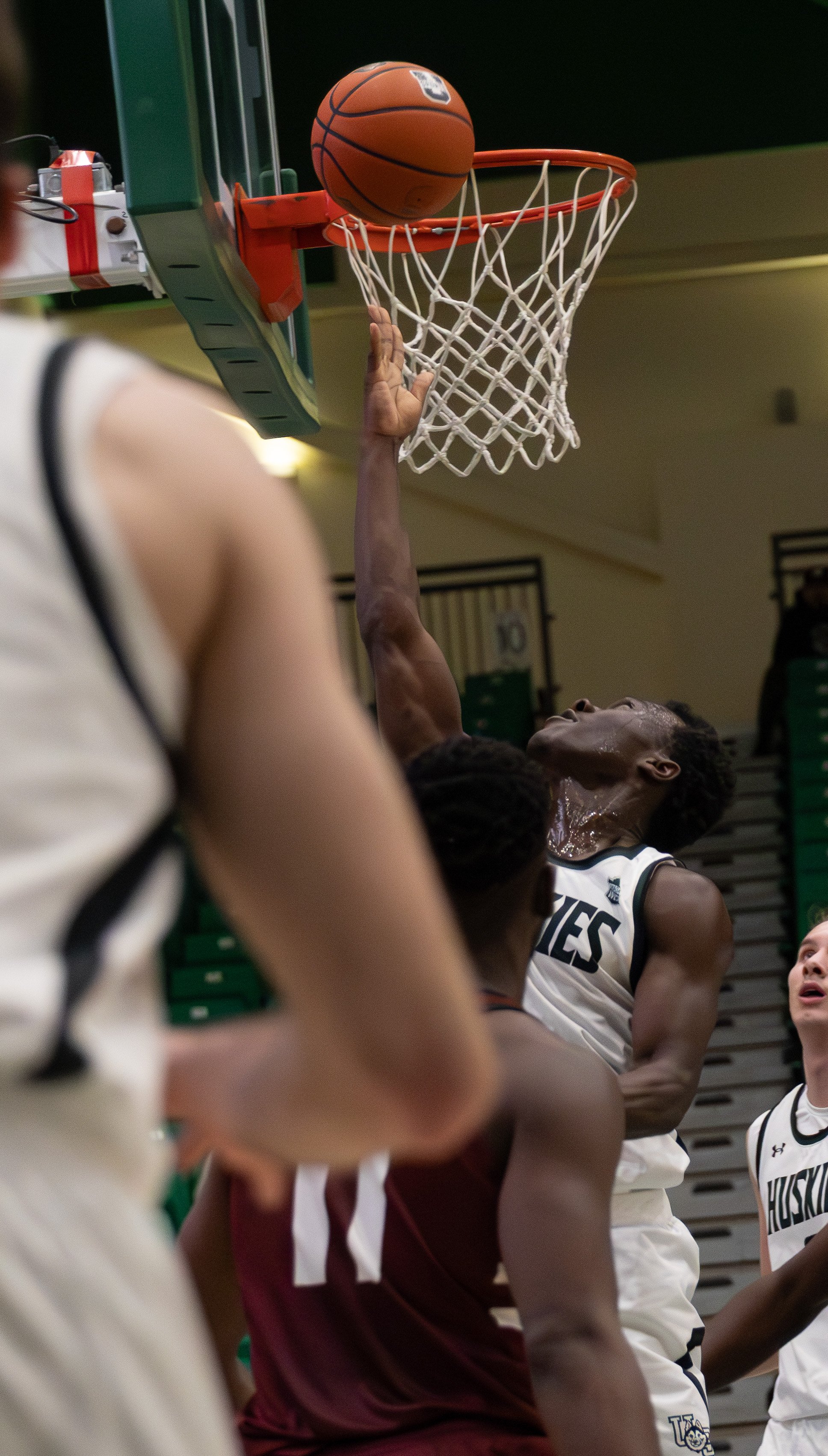 Huskie Basketball Semi light-29.jpg